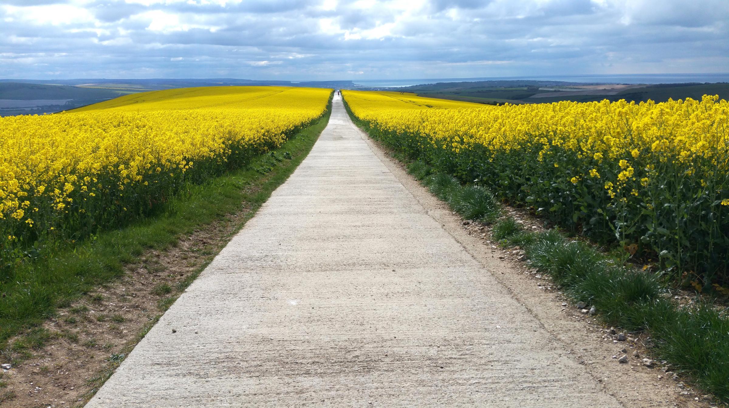 Picture of the Day: The South Downs