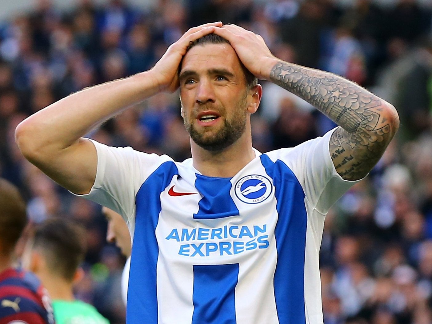 Transfer Albion's Shane Duffy linked to West again | The Argus