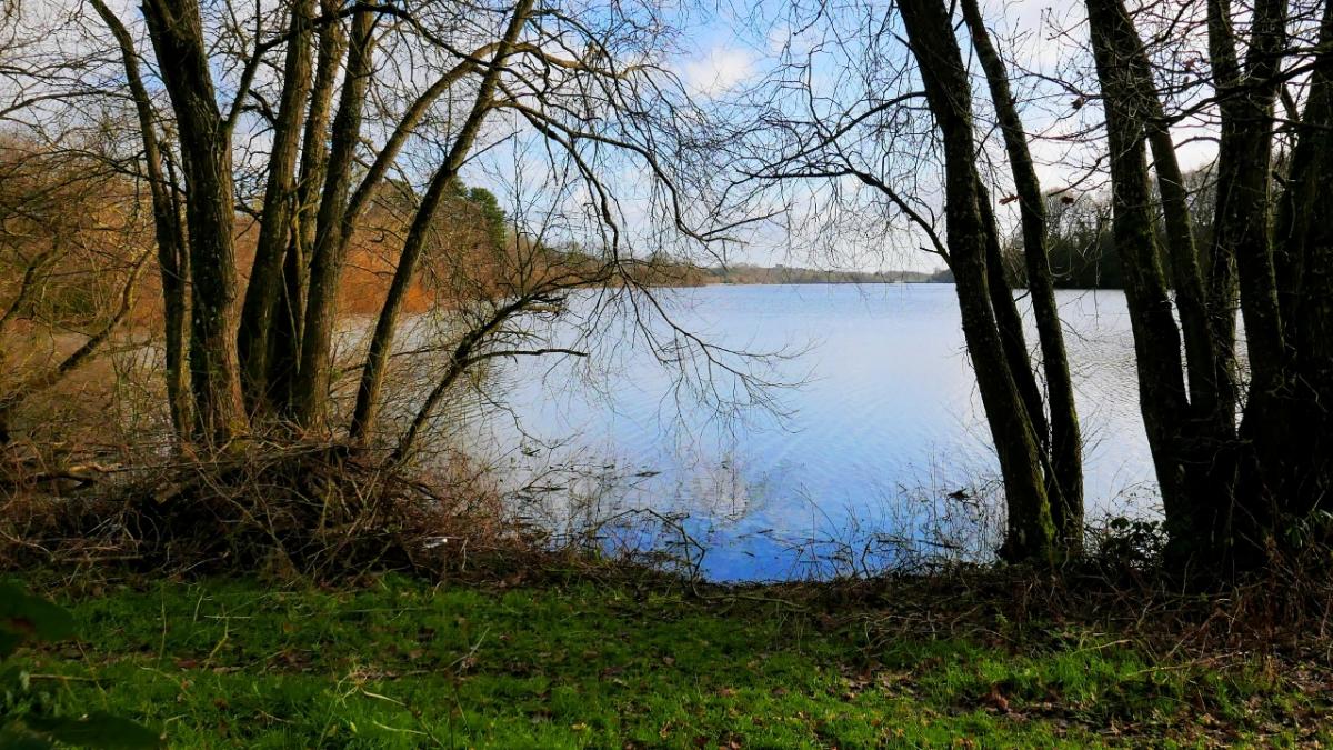 For A Weekend Walk Try This Trip Near Ardingly Reservoir The Argus