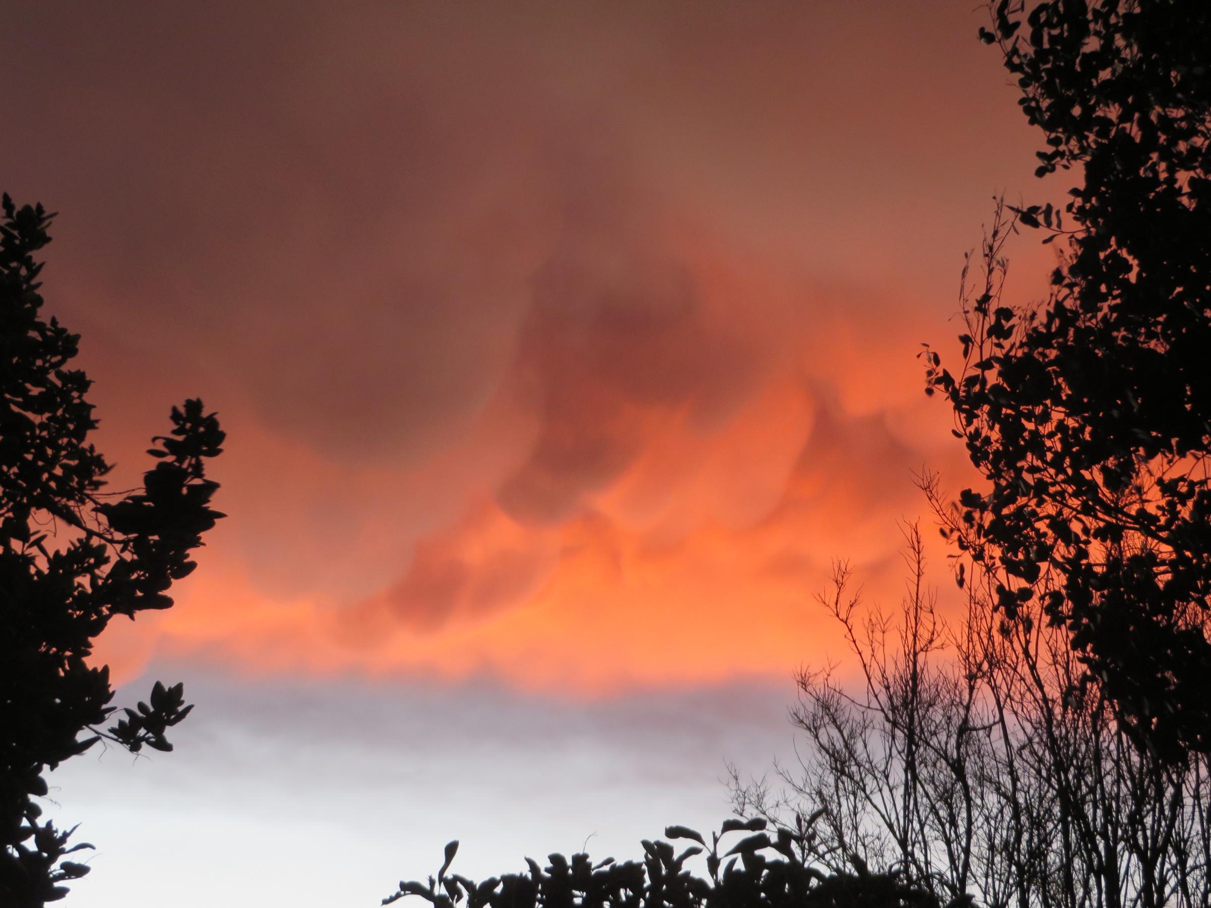 This is why there were red clouds over Brighton yesterdayCredit: Jenny Hudson