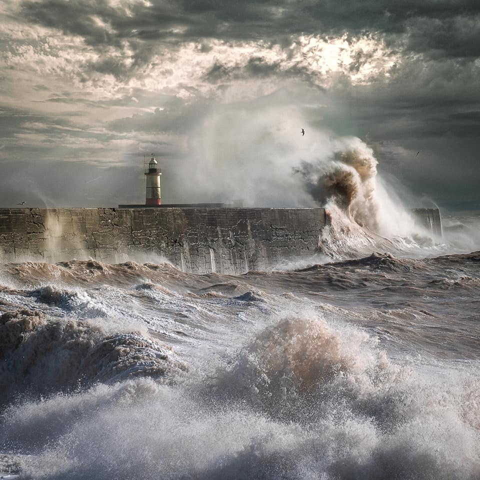 Ian Goodrigde, Newhaven Harbour