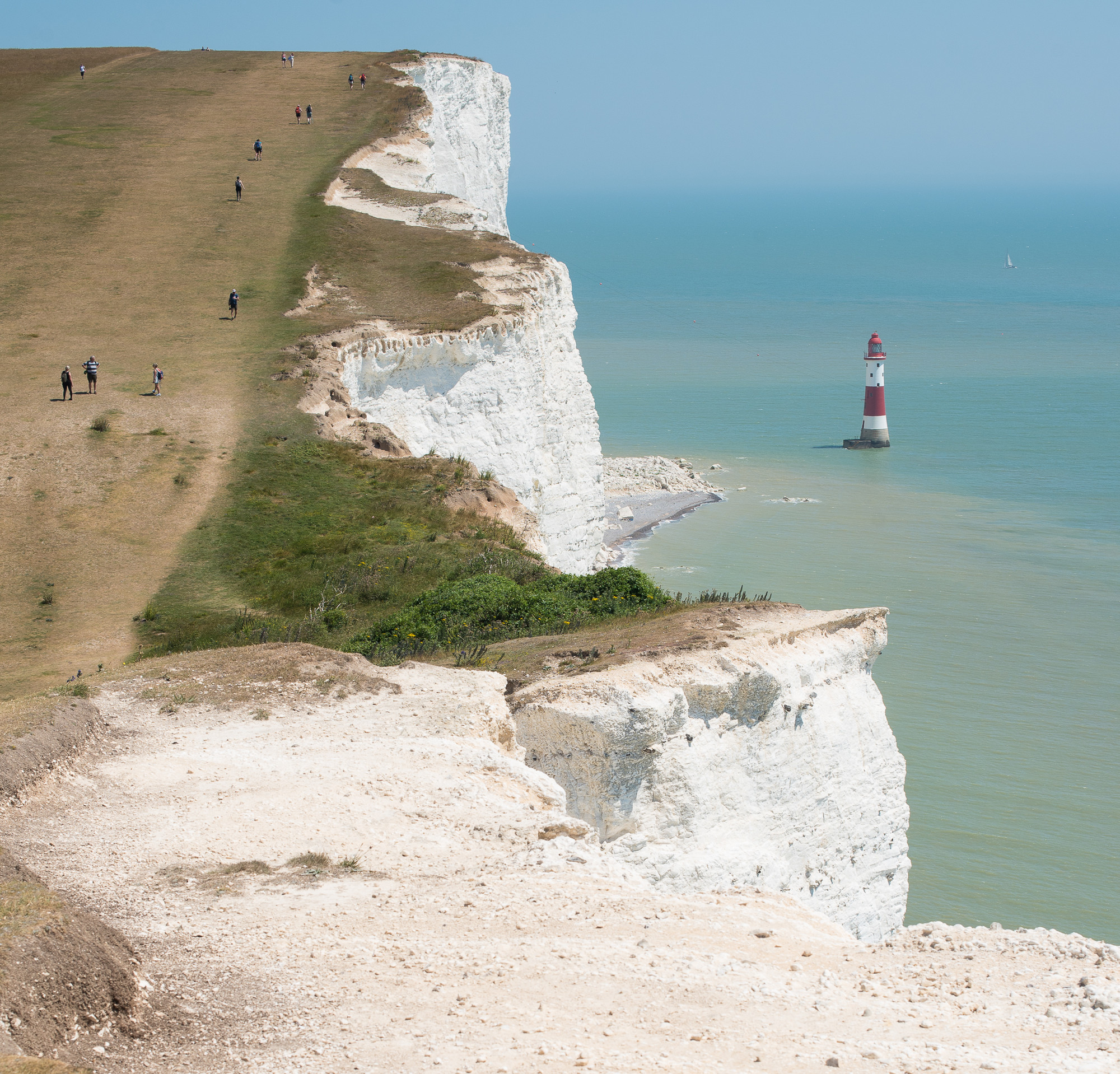 'Terrifying seagulls', 'a bit of a dump': Sussex according to angry visitors