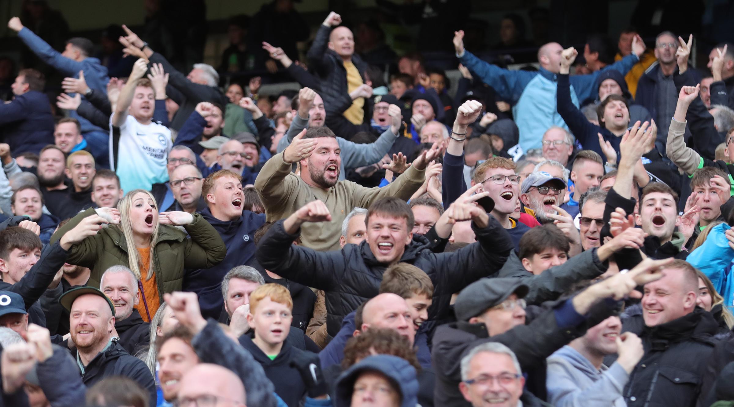 Brighton fan pictures as Seagulls lose to Manchester City 2-1