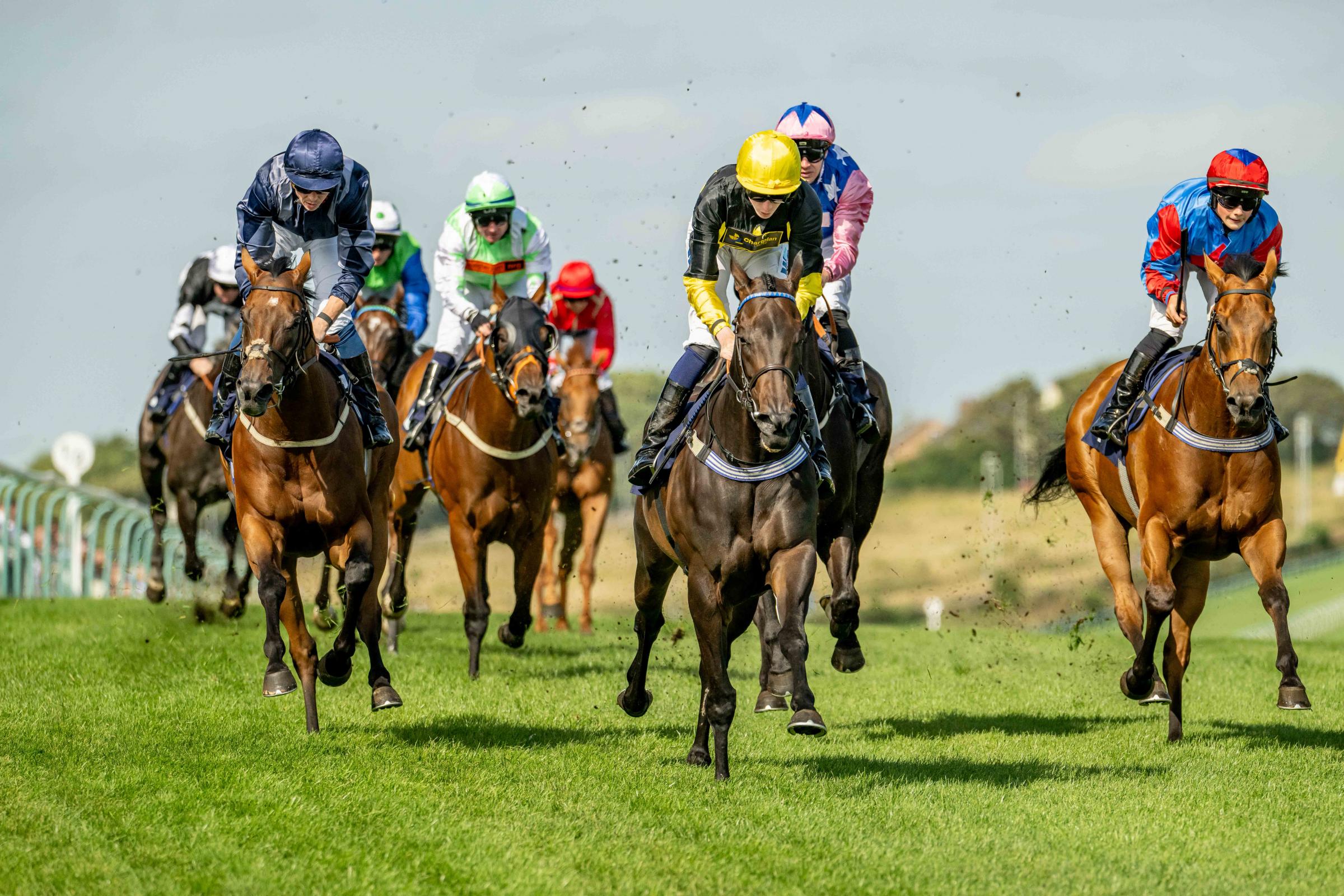 Tony Bloom sees teen star shine - and this time it's at the races in Brighton Bullet