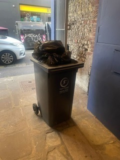 Brighton and Hove City Council\s environmental enforcement officer\s image of Shine\s bin