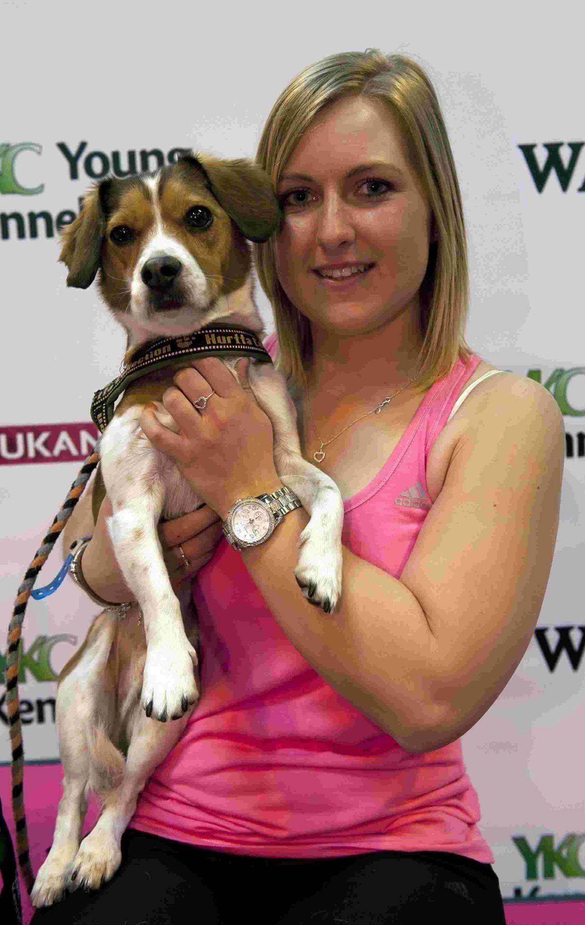 crufts jack russell
