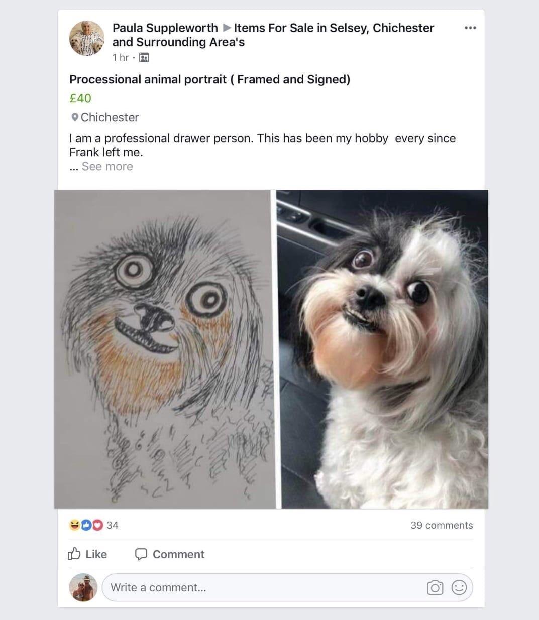 This Artist Is Charging 40 For Her Unique Dog Drawing The Argus